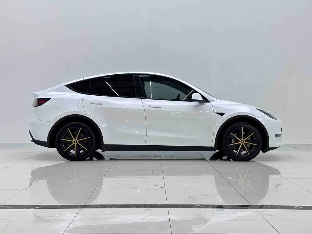 Tesla Model Y — миниатюра 7