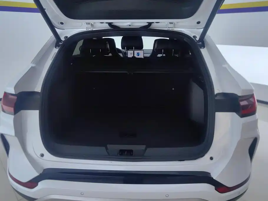BYD PLUS New Energy — миниатюра 4