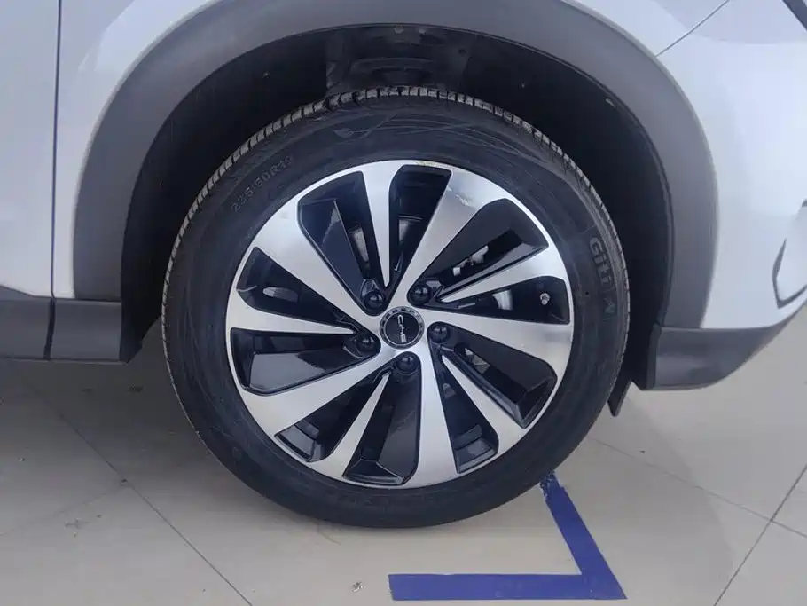 BYD PLUS New Energy — миниатюра 6