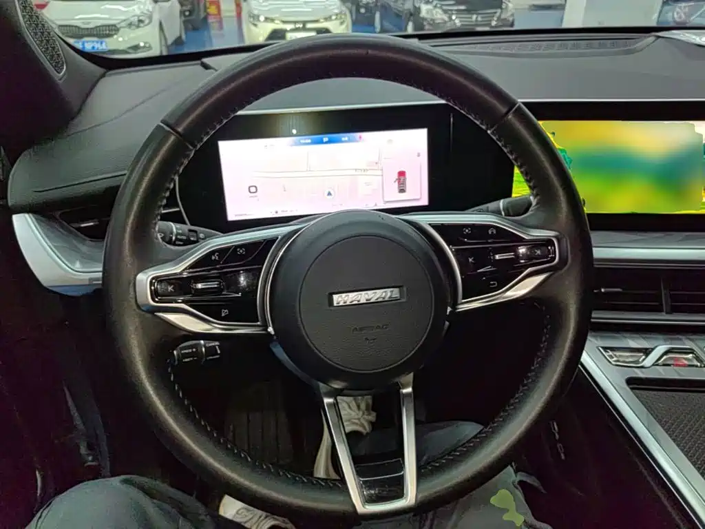 Haval Shenshou — миниатюра 11