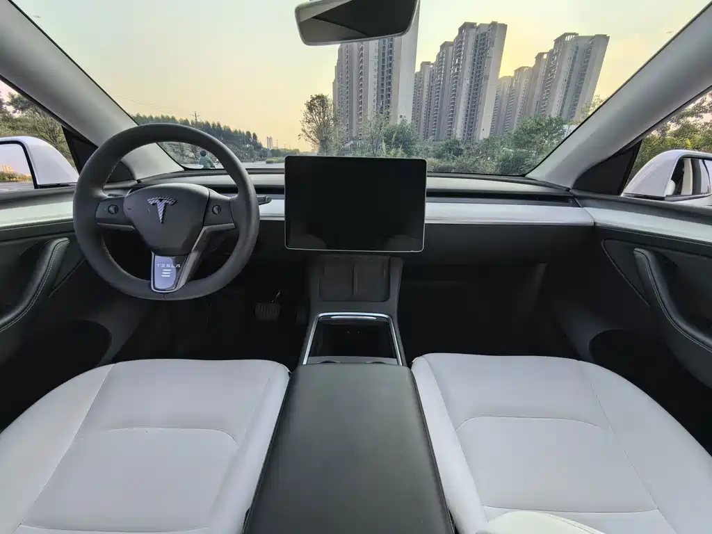 Tesla Model Y — миниатюра 9