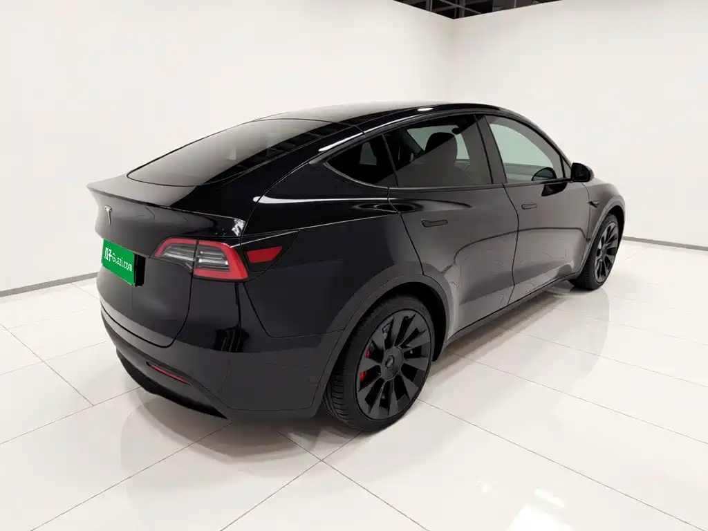 Tesla Model Y — миниатюра 6