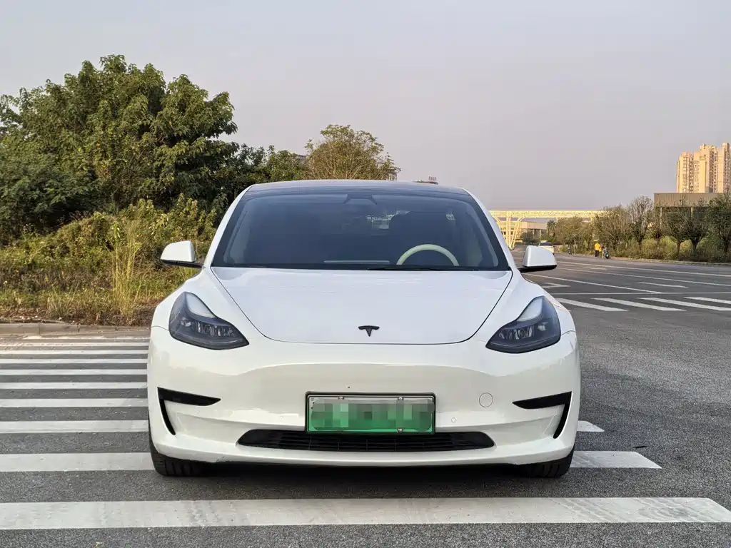 Tesla Model 3 — миниатюра 3