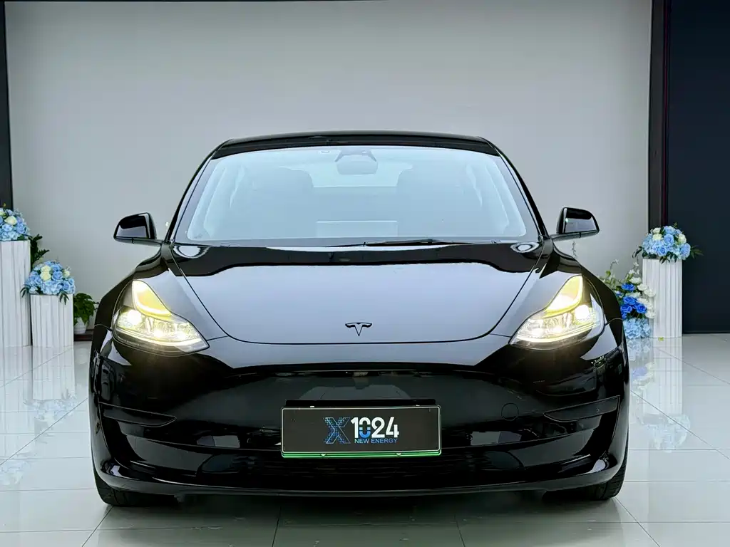 Tesla Model 3 — миниатюра 2