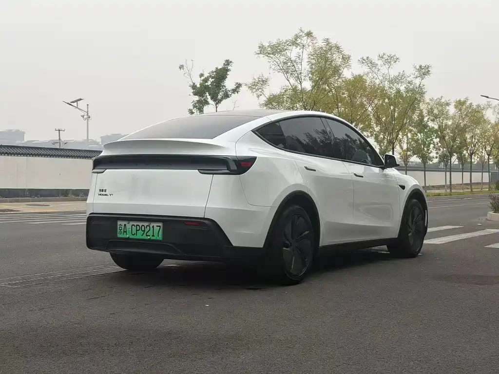 Tesla Model Y — миниатюра 21