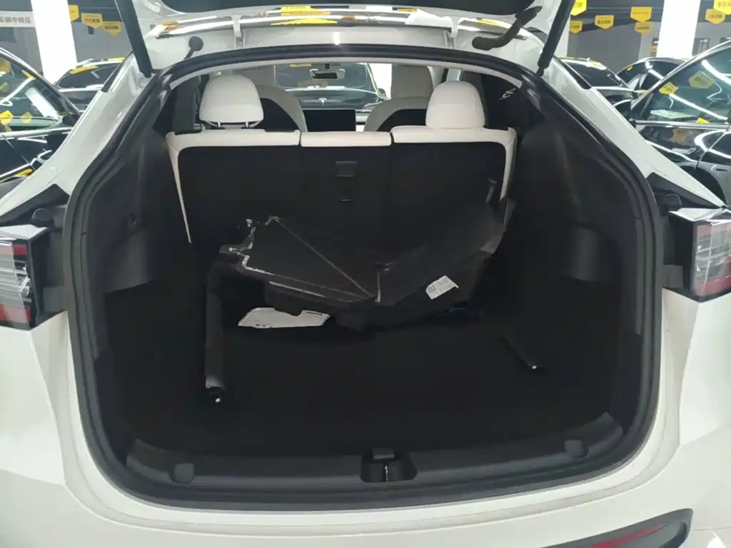 Tesla Model Y — миниатюра 19
