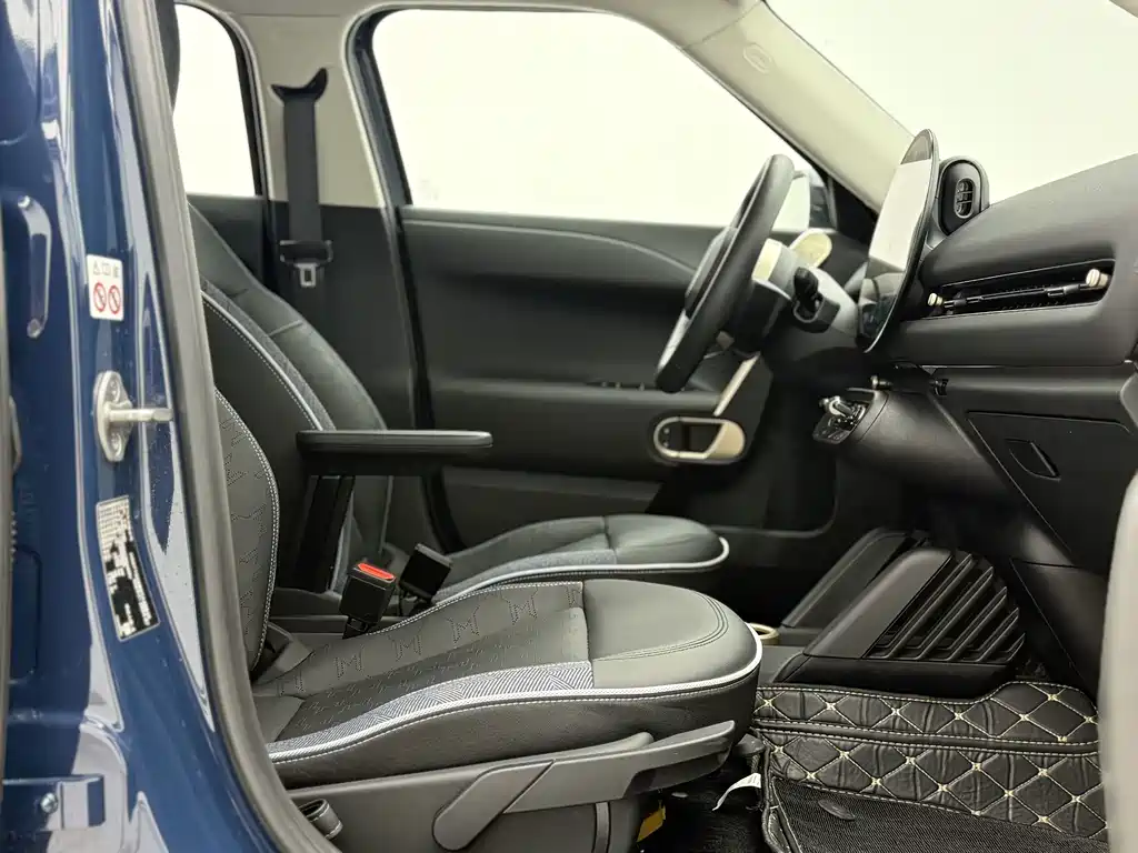 MINI MINI ACEMAN EV — миниатюра 18