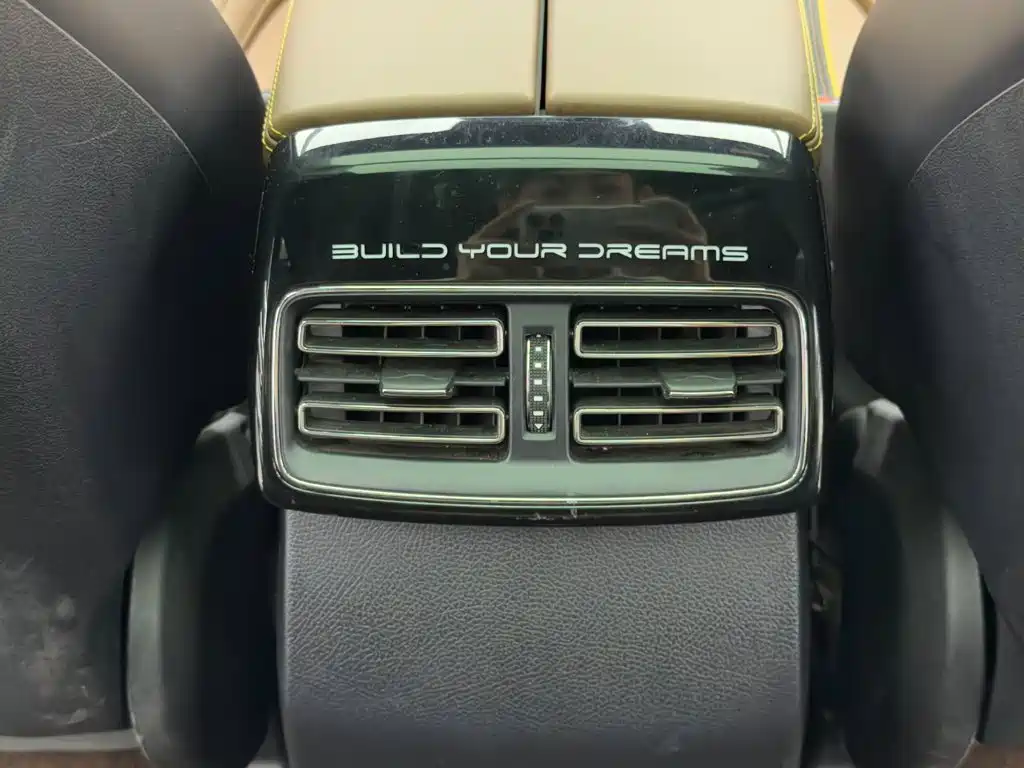 BYD Tang New Energy — миниатюра 14