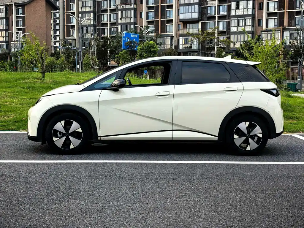 BYD Dolphin — миниатюра 15