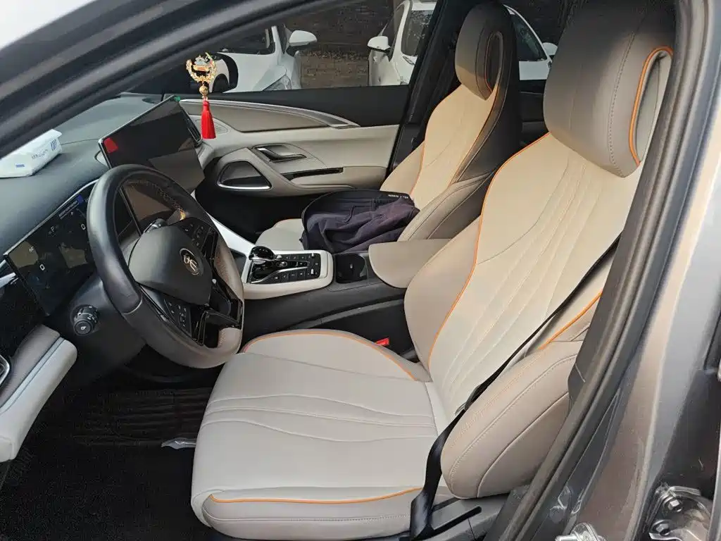 BYD Pro New Energy — миниатюра 11