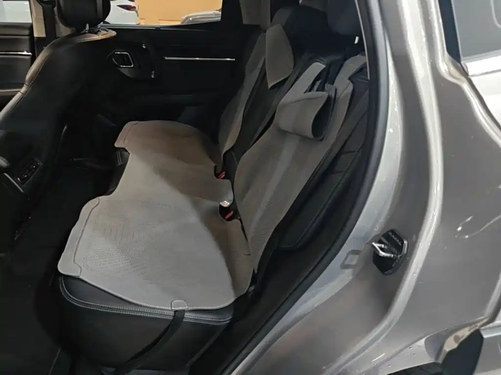 Haval Big Dog PLUS New Energy — миниатюра 13