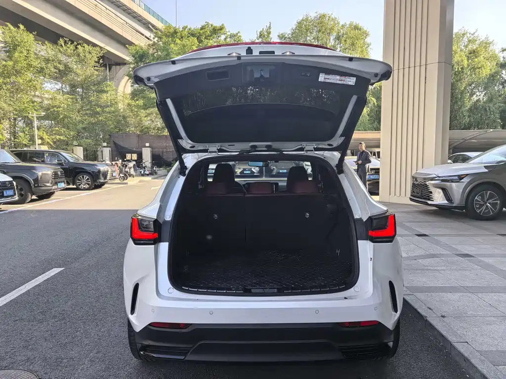 Lexus NX New Energy — миниатюра 6