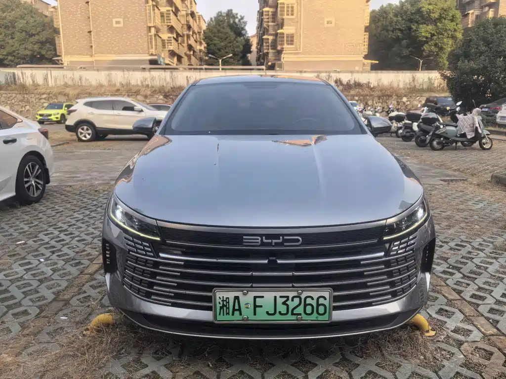 BYD Destroyer 05 — миниатюра 3