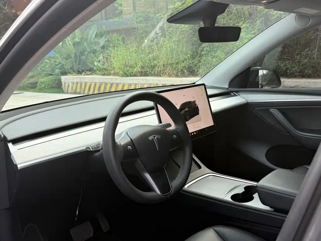 Tesla Model Y — миниатюра 3