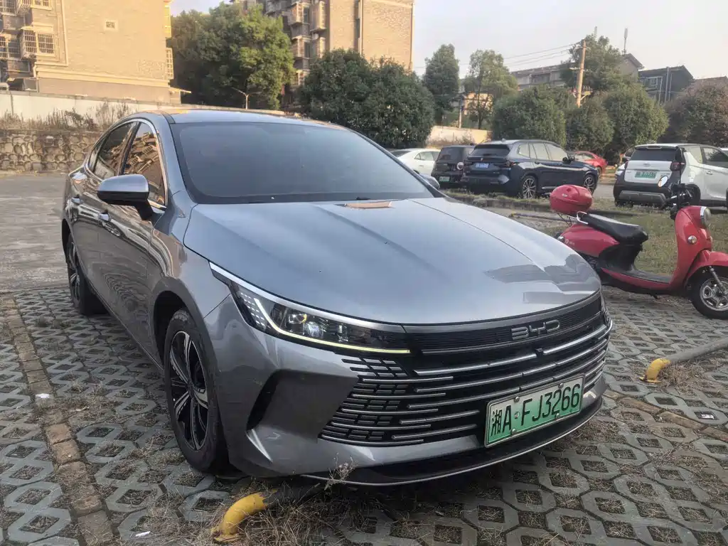 BYD Destroyer 05 — миниатюра 2