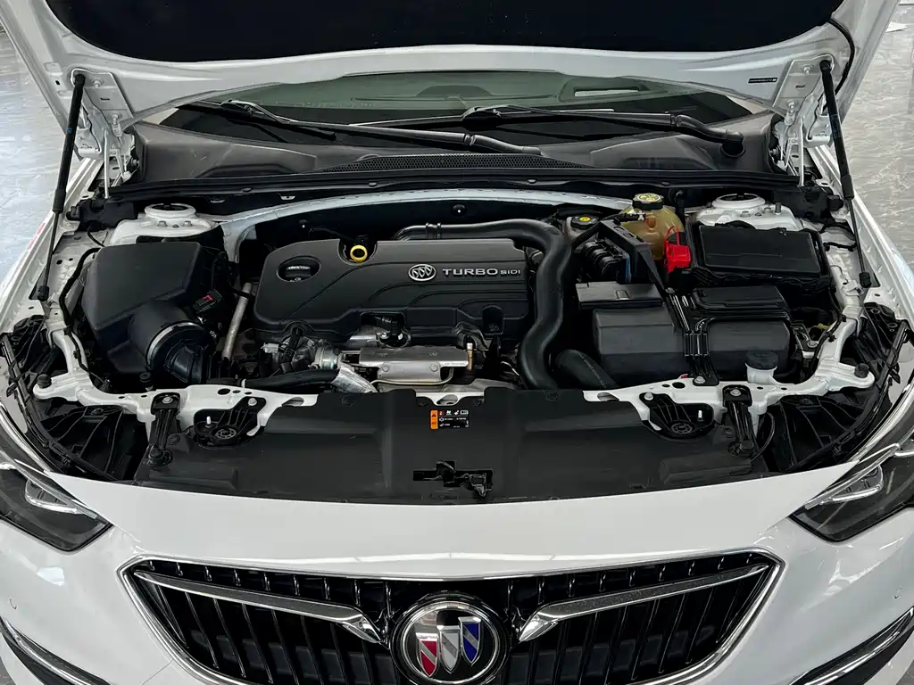 Buick Regal — миниатюра 28