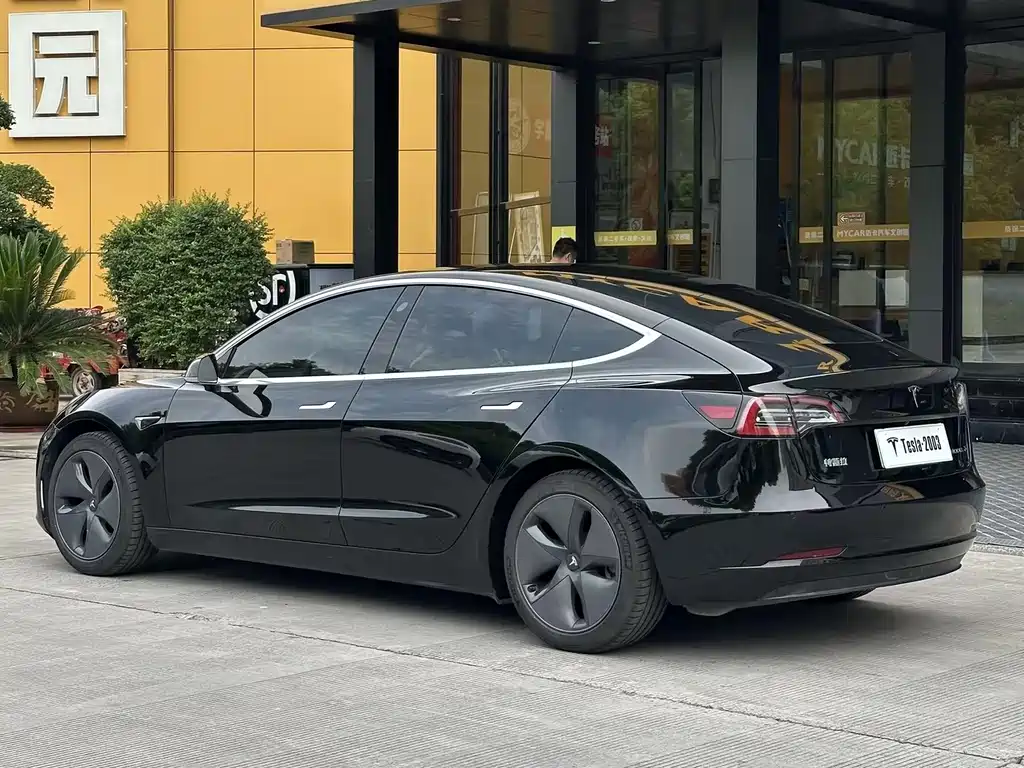 Tesla Model 3 — миниатюра 4