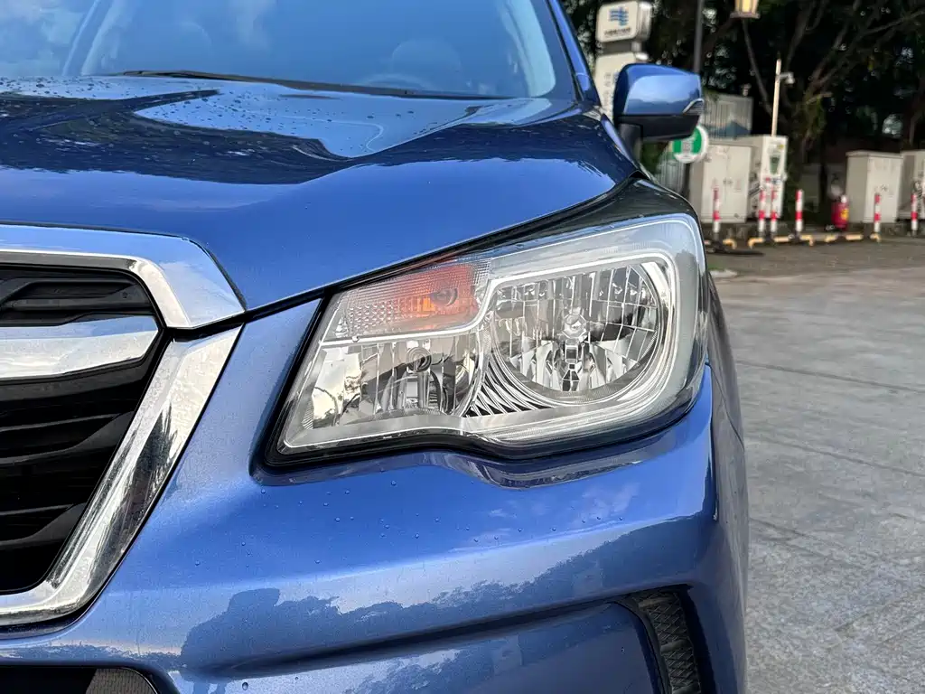 Subaru Forester — миниатюра 23