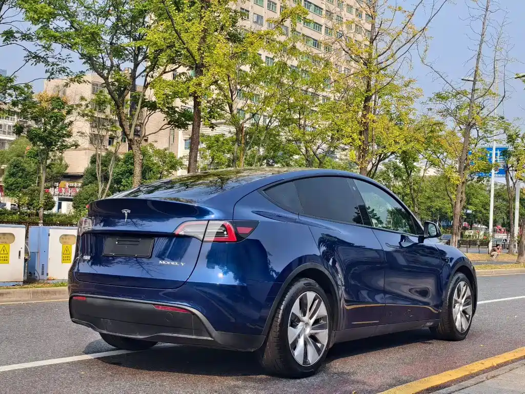 Tesla Model Y — миниатюра 9