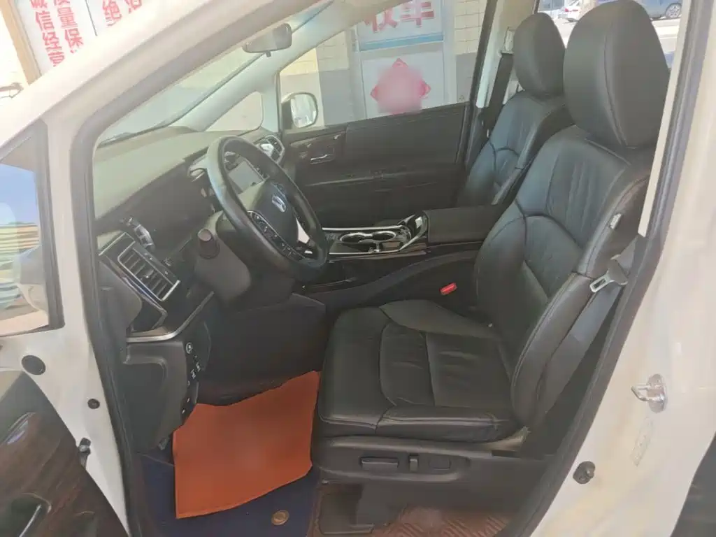 Honda Elysion — миниатюра 15