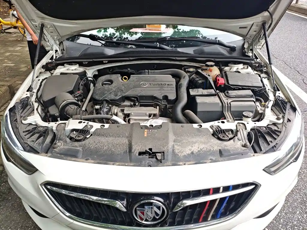 Buick Regal — миниатюра 11