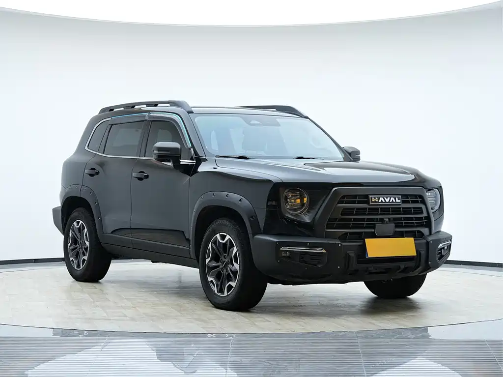 HAVAL BIG DOG