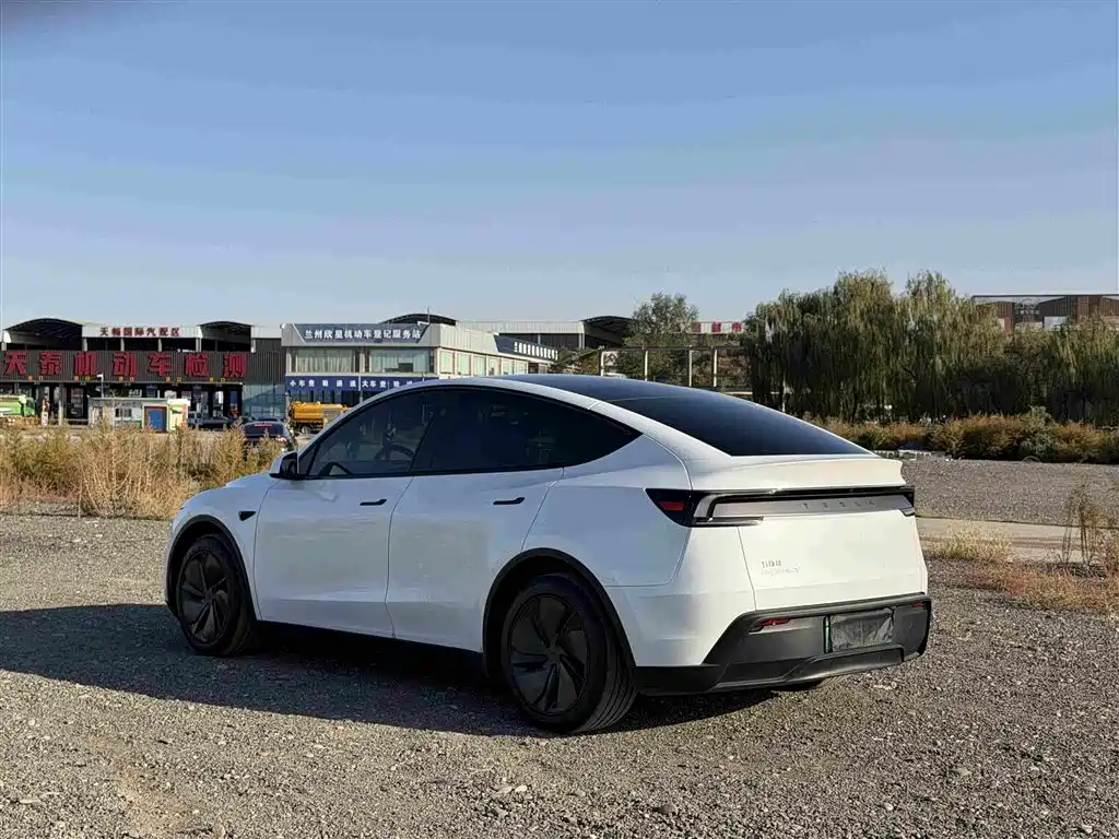 Tesla Model Y — миниатюра 6