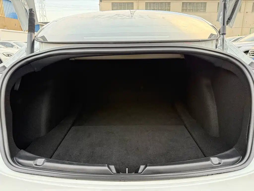 Tesla Model 3 — миниатюра 23