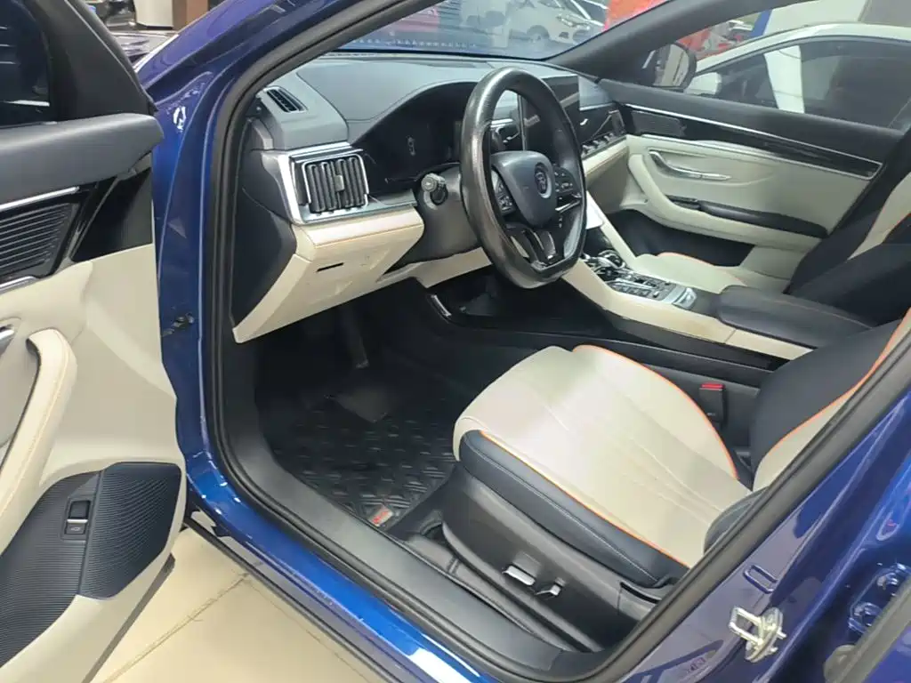 BYD PLUS New Energy — миниатюра 16