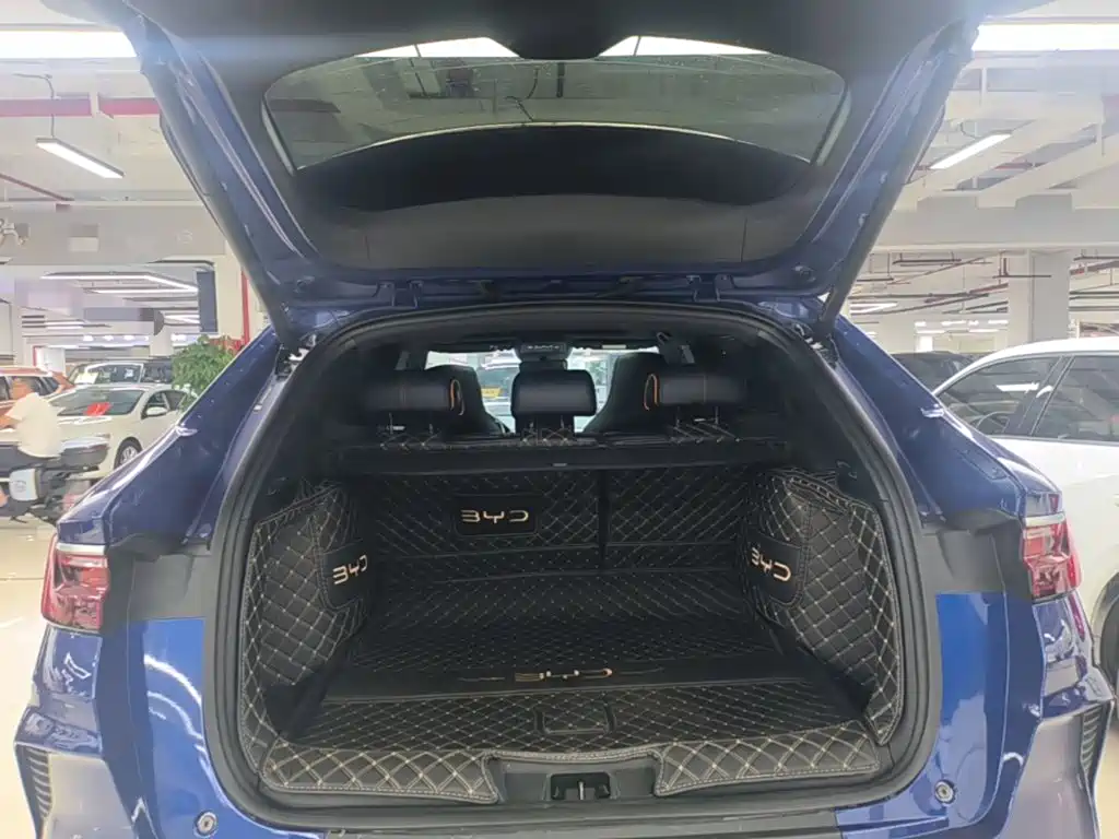 BYD PLUS New Energy — миниатюра 19