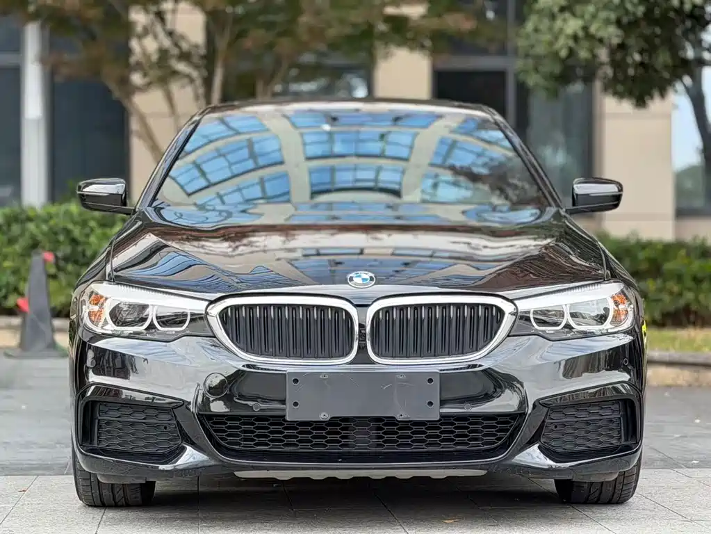 BMW 5 Series — миниатюра 2