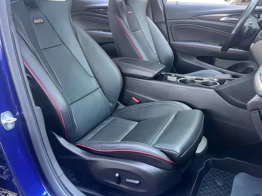 Buick Regal — миниатюра 25