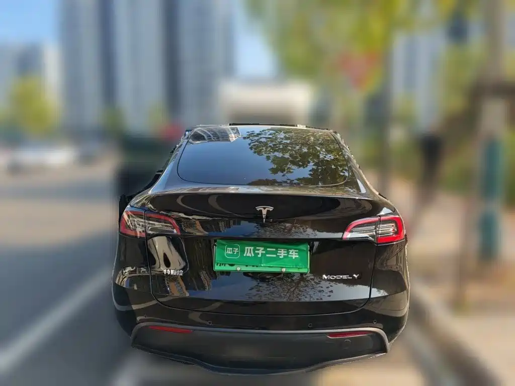 Tesla Model Y — миниатюра 5