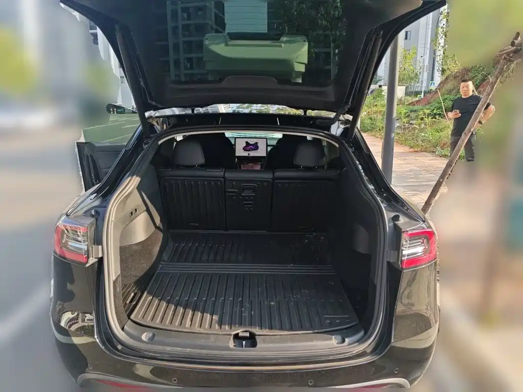 Tesla Model Y — миниатюра 20