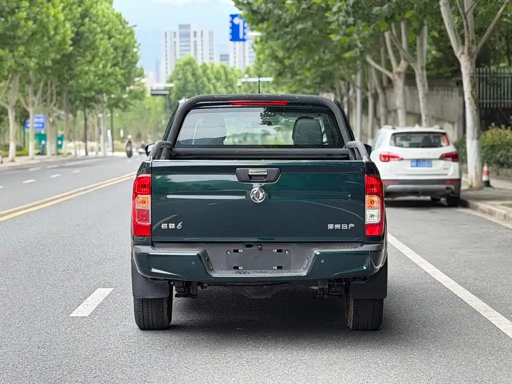 Dongfeng Rich 6 Pro - фото 17