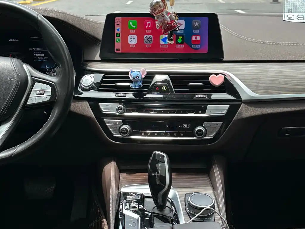 BMW 5 Series 5 2020 530Le Luxury