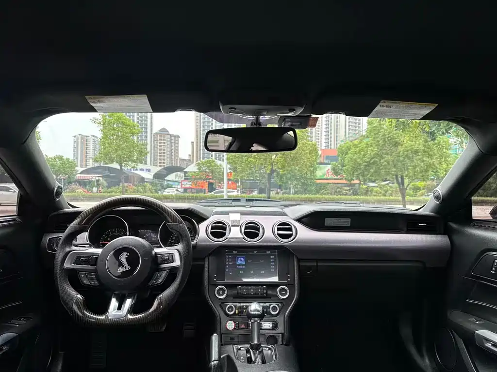 Ford Mustang — миниатюра 10