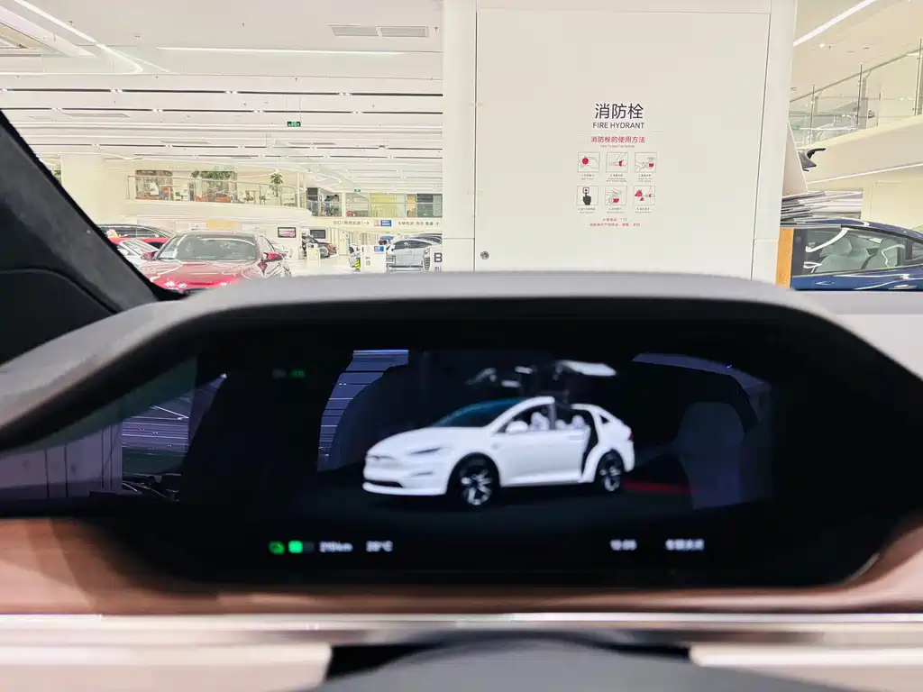 Tesla Model X — фотографии объявления, Фото 7