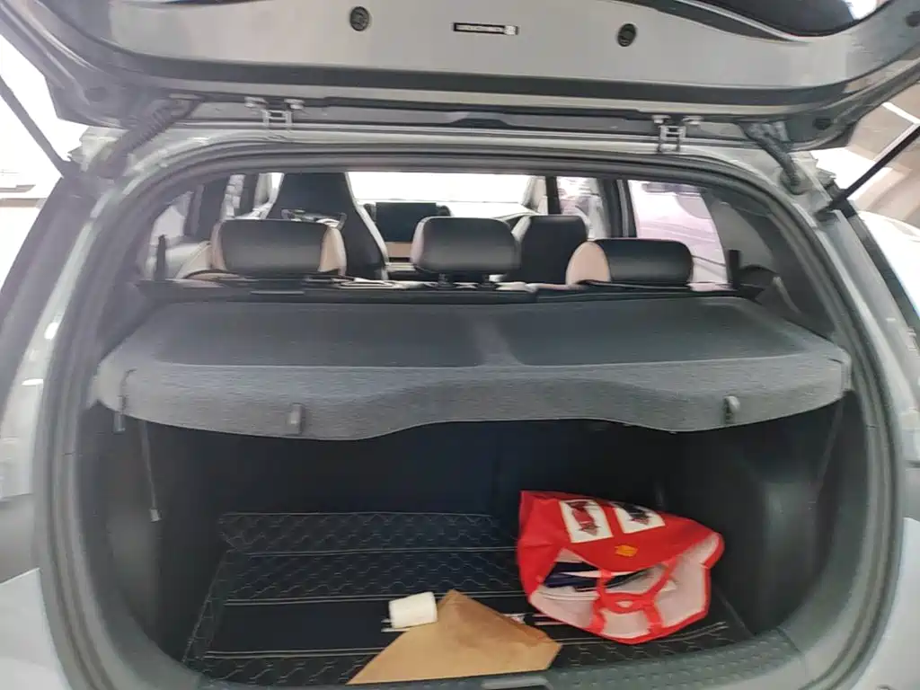 BYD Dolphin — миниатюра 19