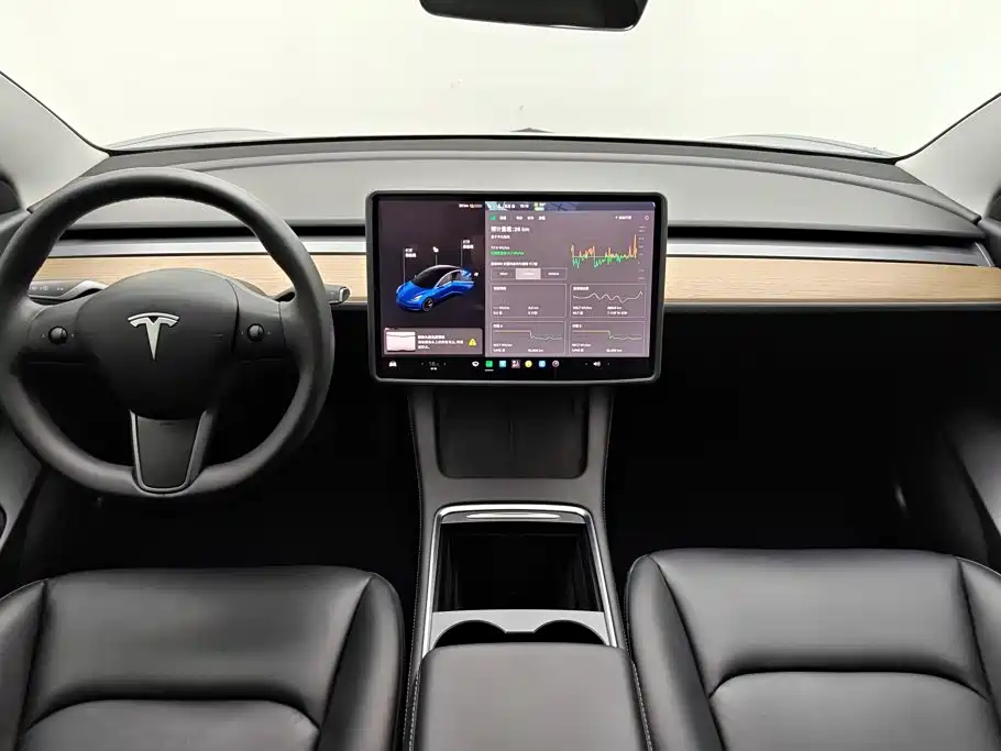 Tesla Model 3 — миниатюра 12