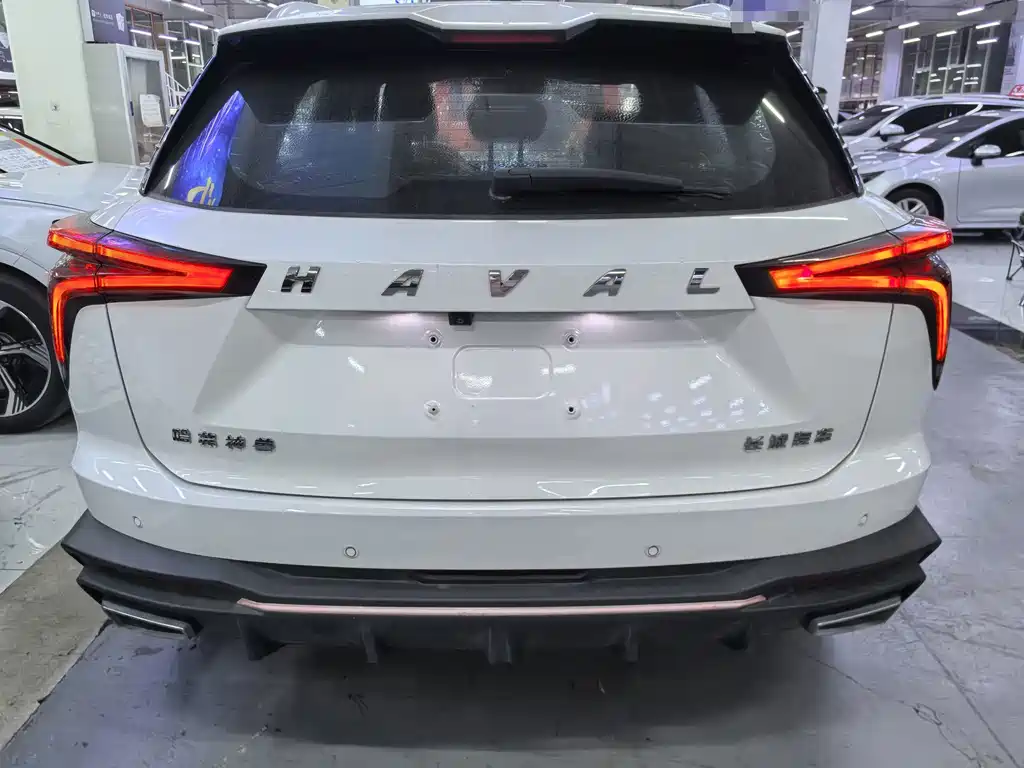 Haval Shenshou — миниатюра 5