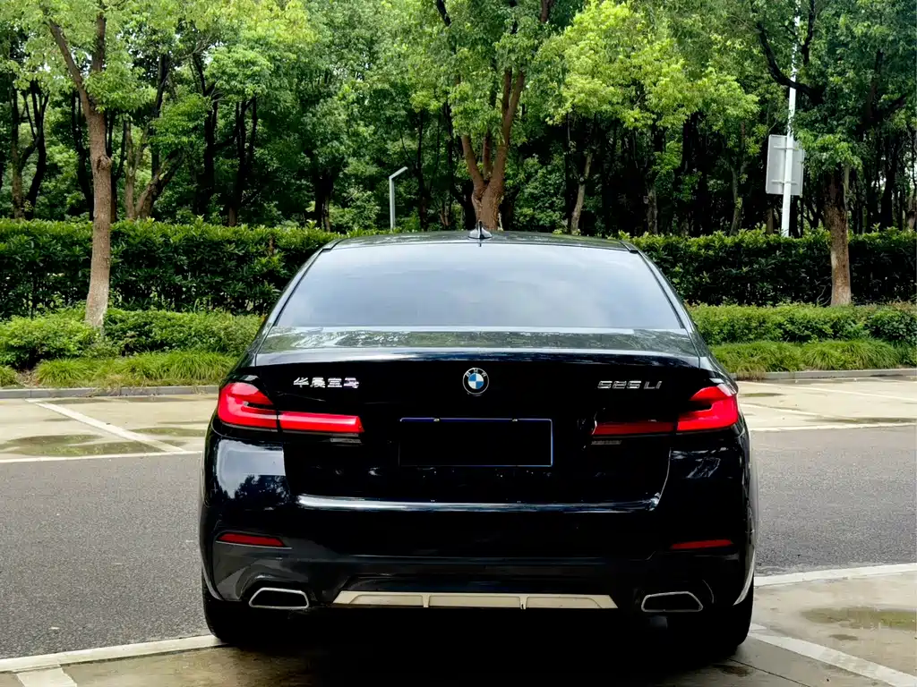 BMW 5 Series — миниатюра 10