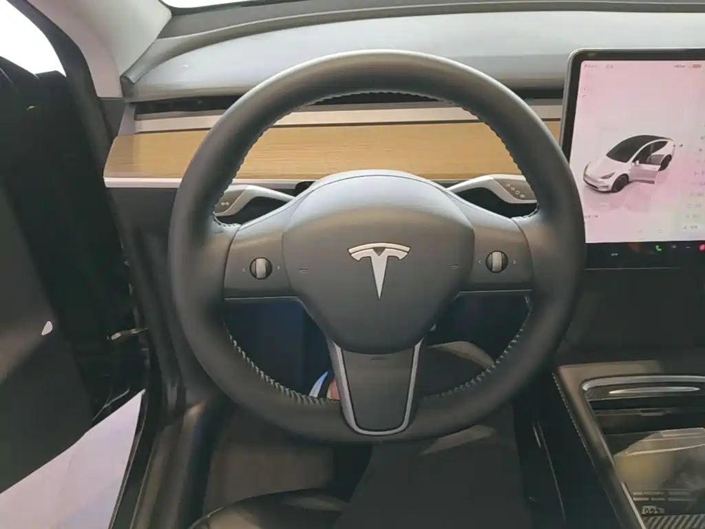 Tesla Model Y — фотографии объявления, Фото 11