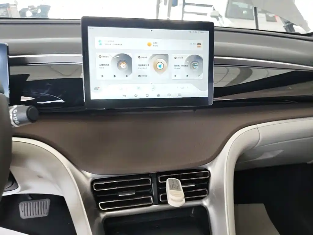 BYD Pro New Energy — миниатюра 13
