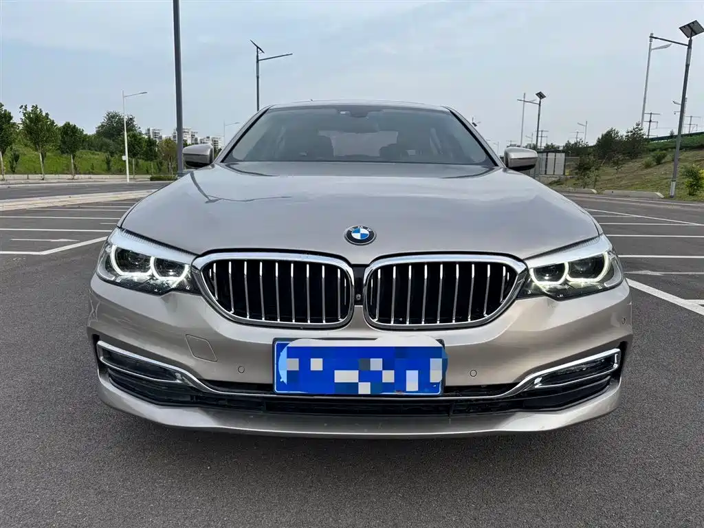 BMW 5 Series 5 2019 525Li Luxury