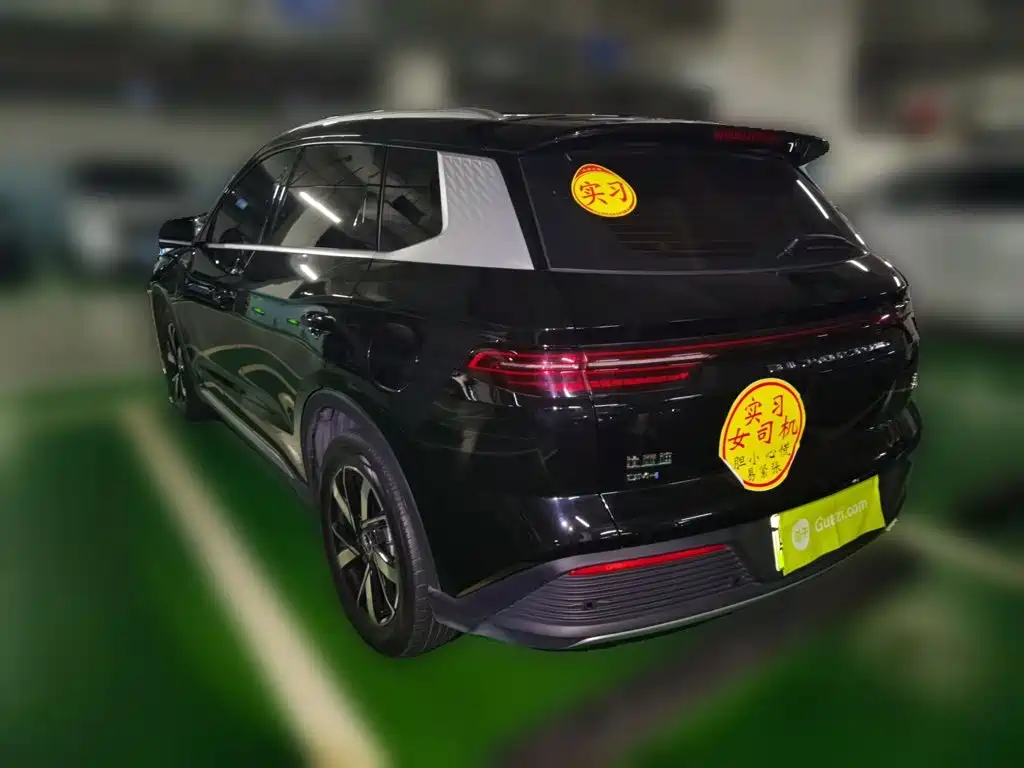 BYD Pro New Energy — миниатюра 4