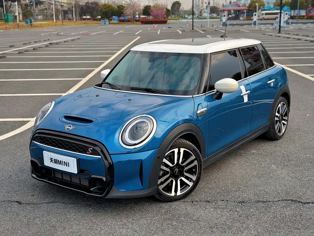 Mini Mini 2021