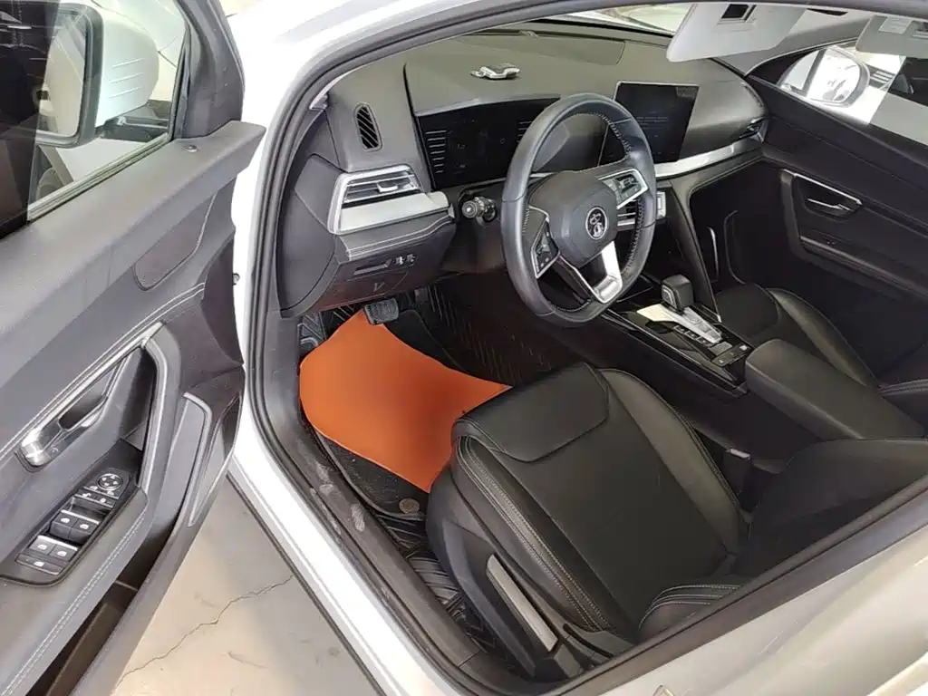 BYD Pro — миниатюра 16