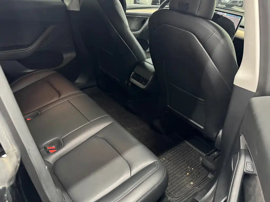 Tesla Model Y — миниатюра 16
