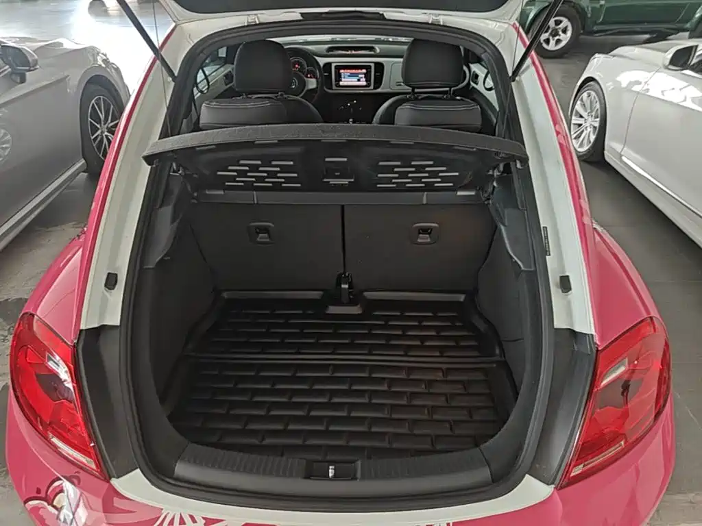 Volkswagen Beetle — миниатюра 19